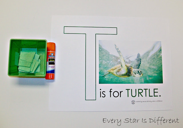 T is for TURTLE