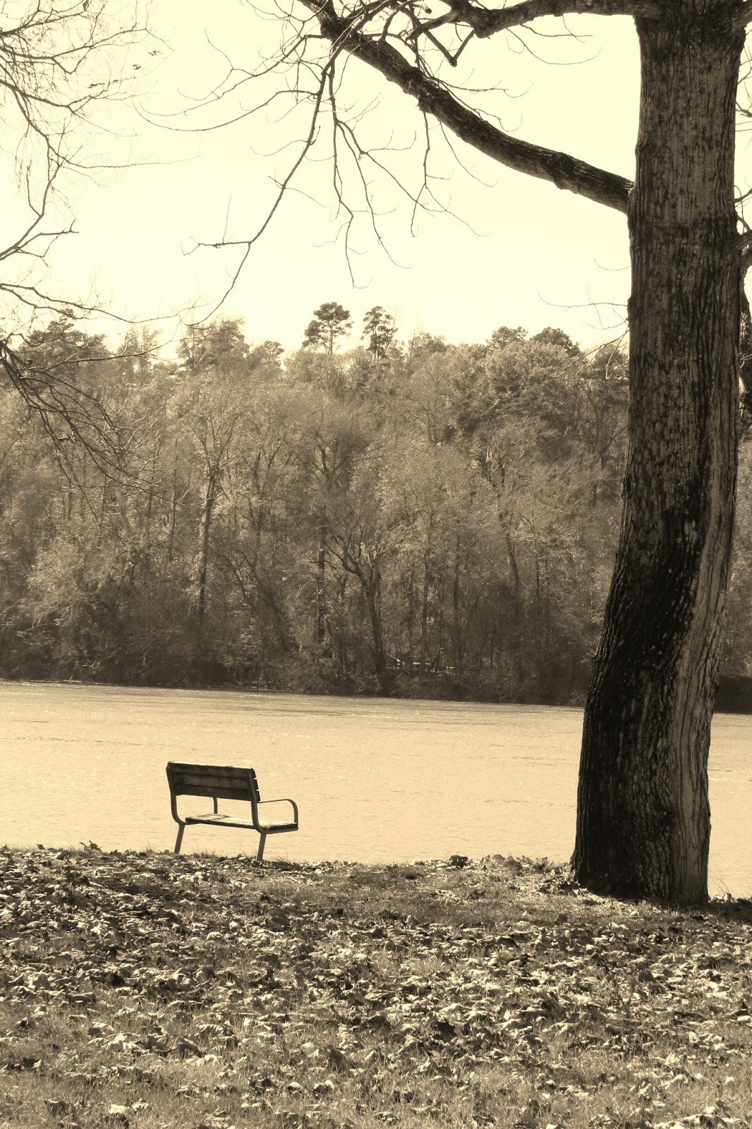 Scripture and a Snapshot ~~1/5/2014
