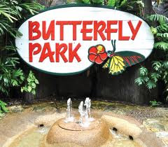 Butterfly Park KL