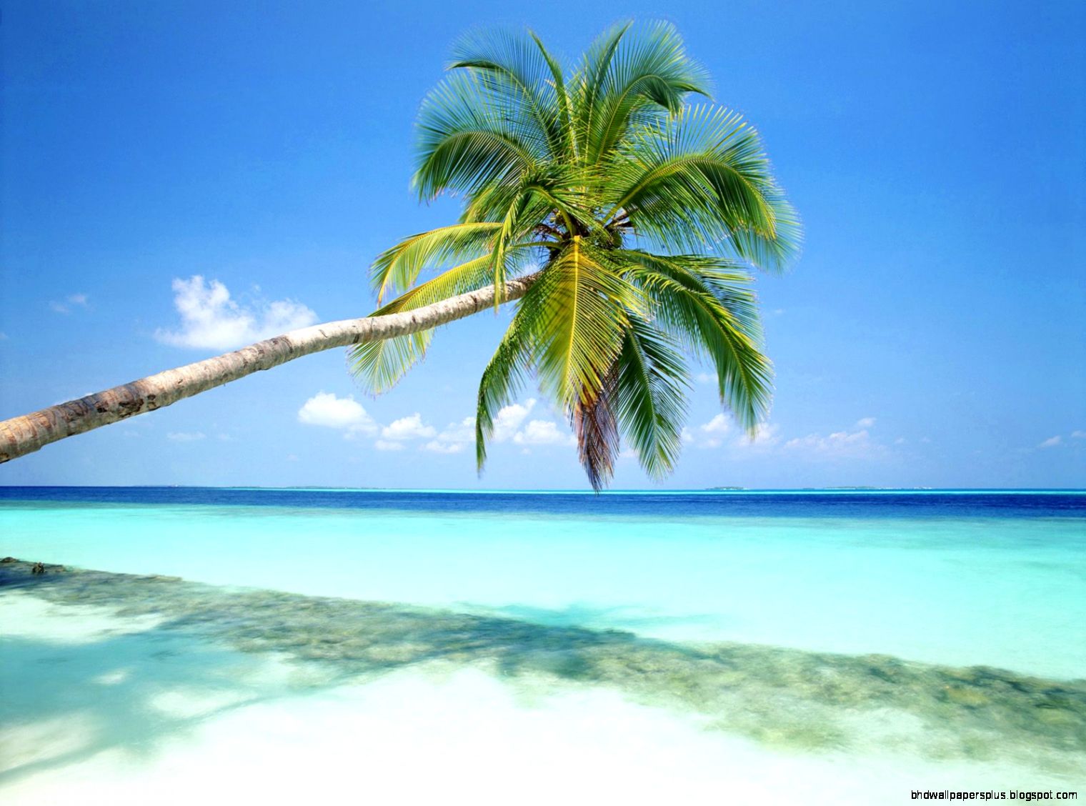 Playa Del Carmen Beach