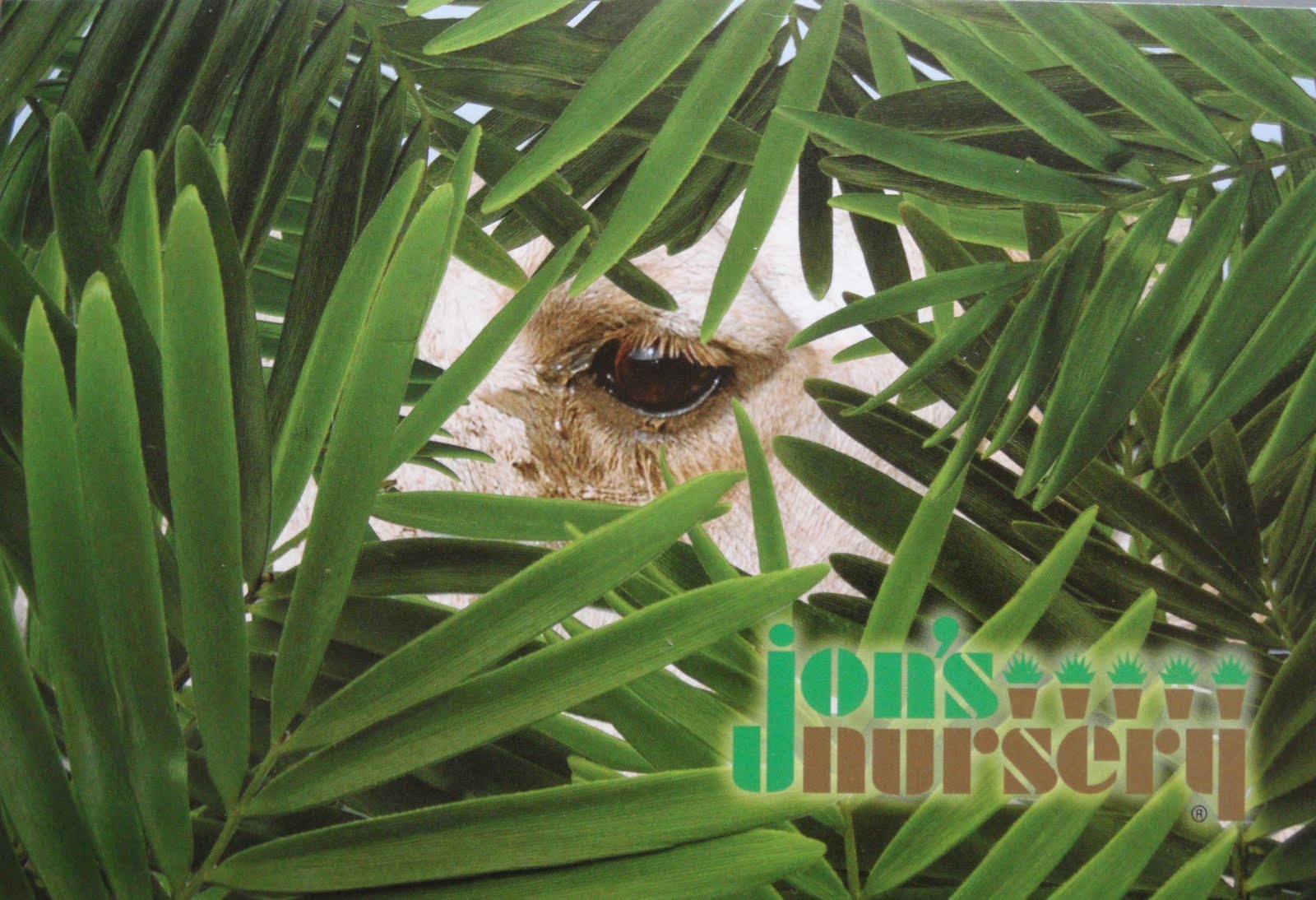 Postcards for Sam July 2011