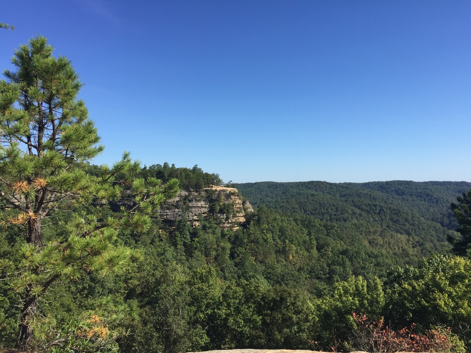 Travel Reviews & Information Slide, Kentucky Natural Bridge State