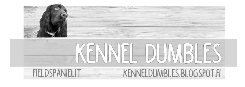 Kennel Dumbles - Fieldspanielit