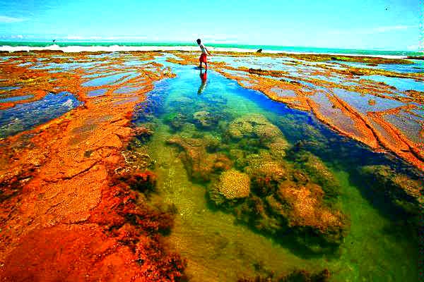 Taman Nasional Taka Bonerate : Menyelami Indahnya Terumbu Karang
