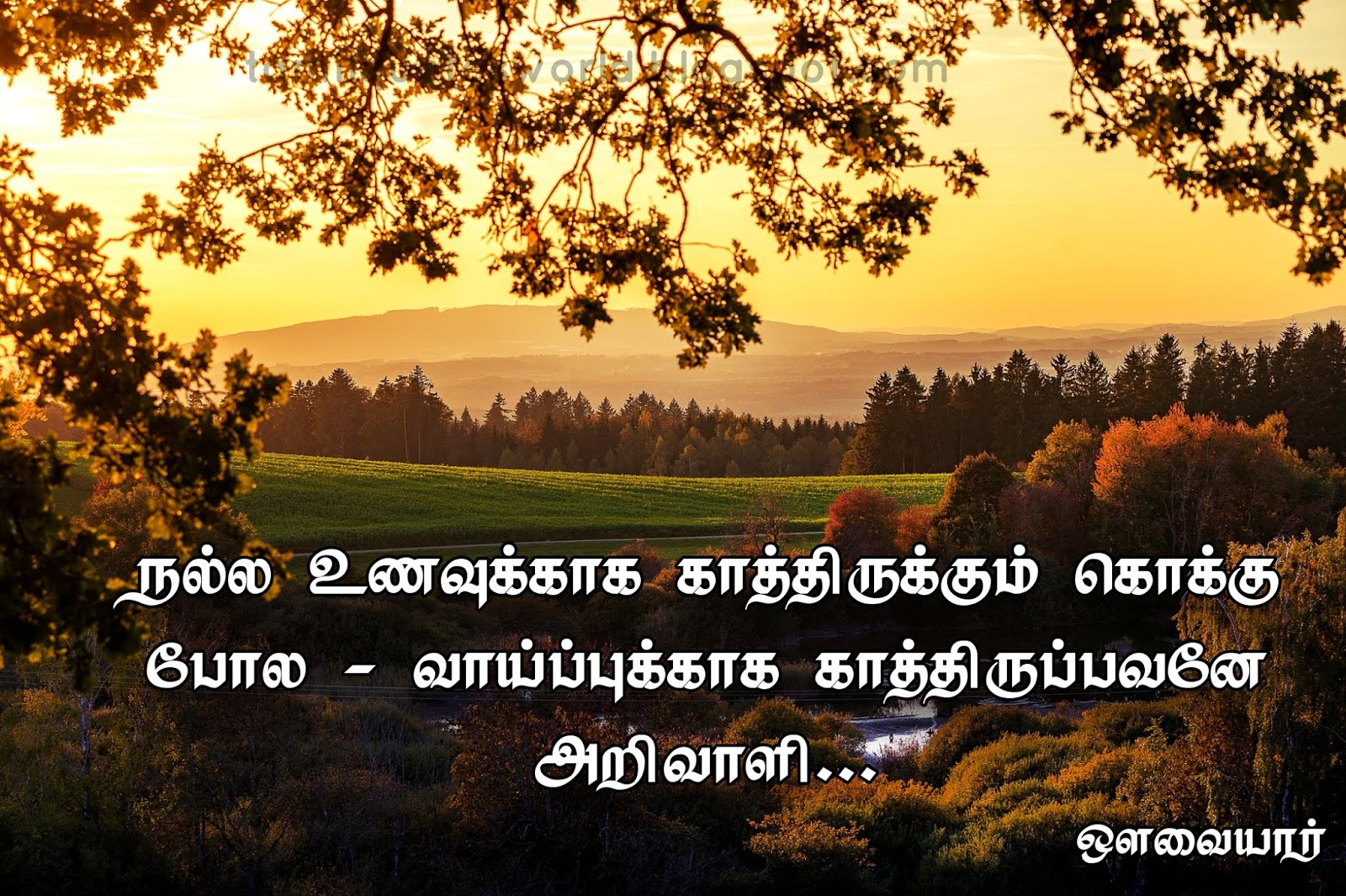 Tamil Quotes Avvaiyar Tamil Quotes