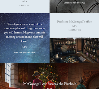 Parte del profilo della professoressa McGranitt in Pottermore, fino al 24 novembre 2015