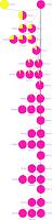 Similar to previous figure, but after every two generations two rows (2 and 3, respecitvely) of circles are added in to represent the selfing and screening for double-recessives that must be done. In total, this figure is much longer and appears much more complicated.