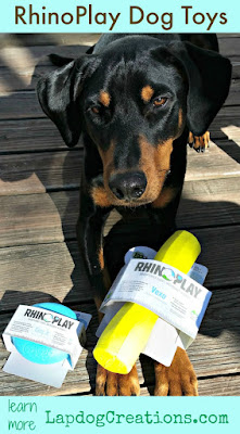 doberman mix puppy with dog toys