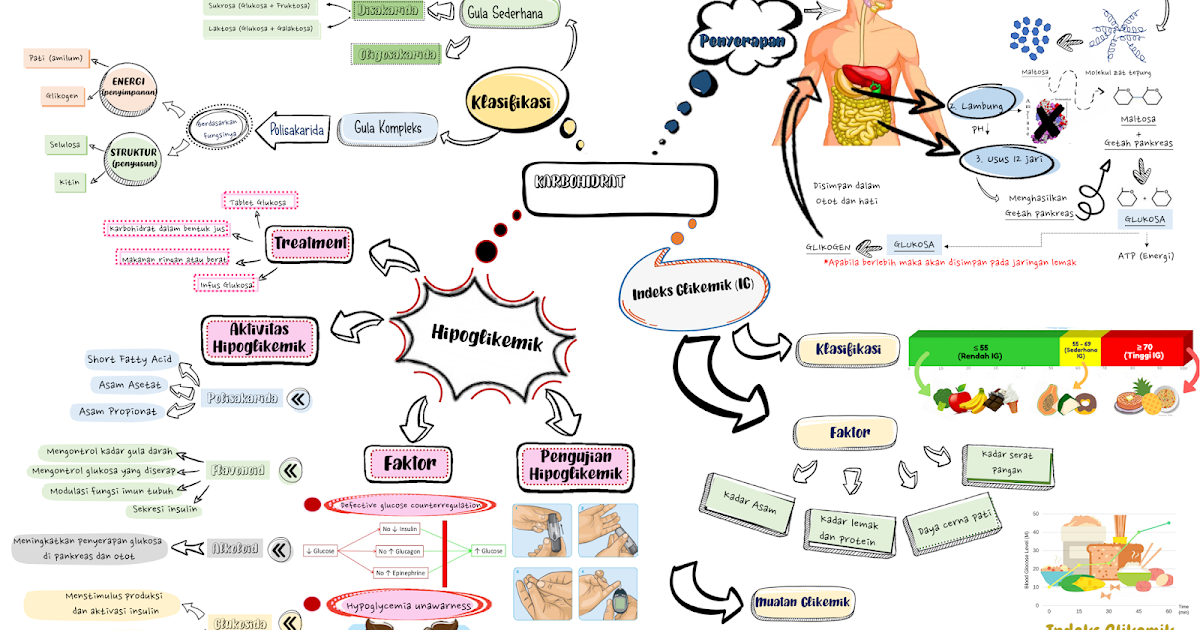 Bagaimana Karbohidrat dicerna di dalam Tubuh&hellip;?