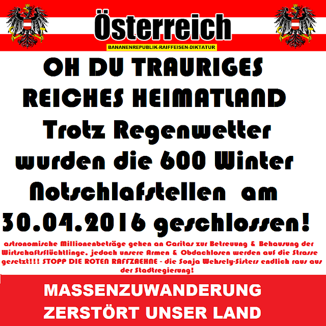 The Austrian Banker Spider Web June 2015