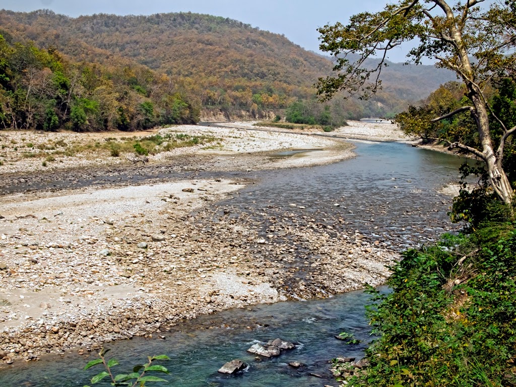 The Ramganga river: Jim Corbett National Park