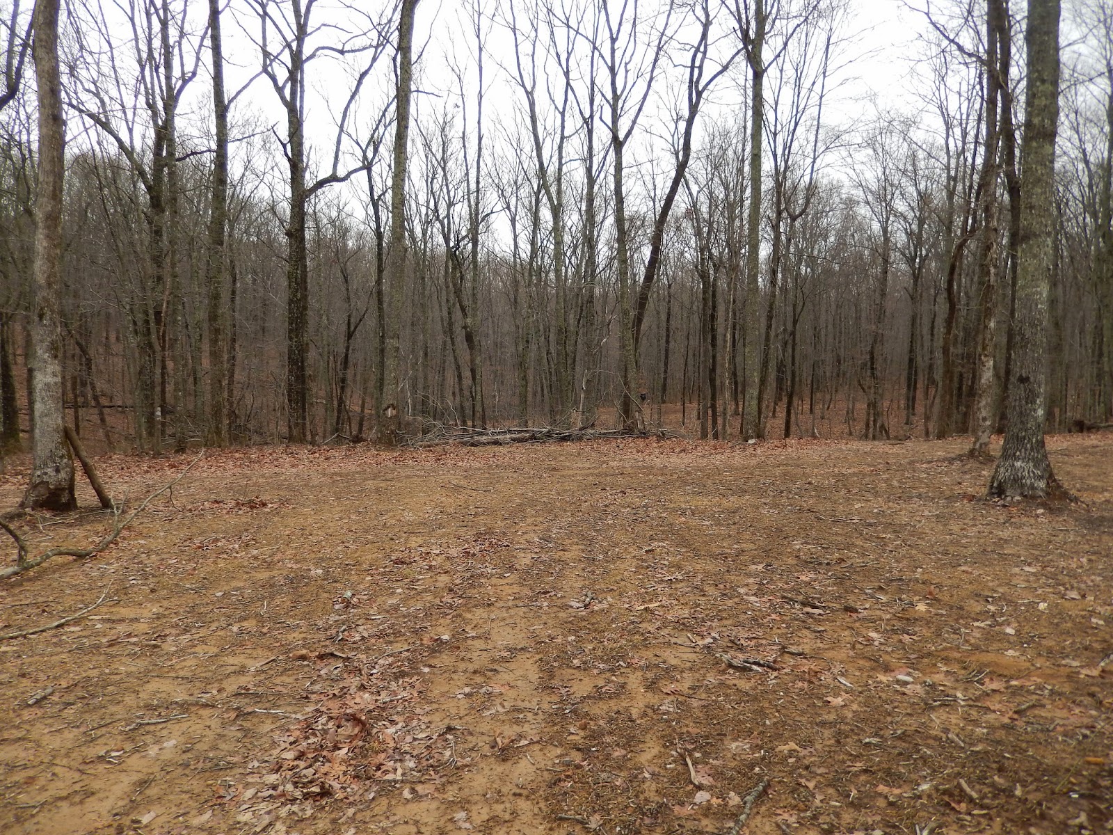 Flint River Land and Timber Featured Properties