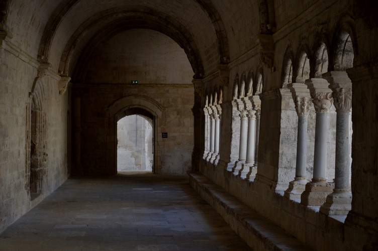 3 Le Cloître Abbaye de Montmajour
