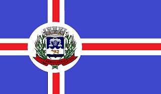 Bandeira de Dom SilvÃ©rio MG