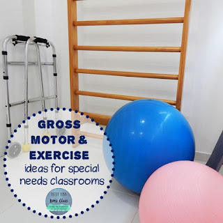 Gross Motor & Exercise in Special Education