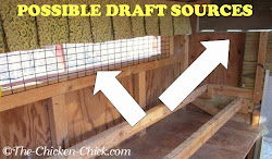 chicken coop winter chickens coops ventilate cold weather chick inside drafts air surviving heat roosting ventilation care mistakes should escape