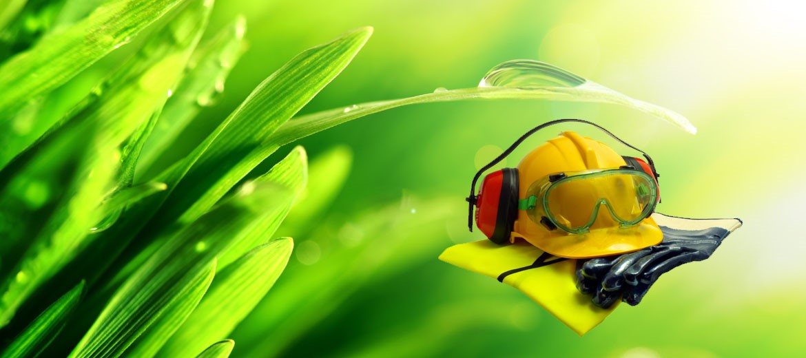 SEGURIDAD, HIGIENE Y MEDIO AMBIENTE