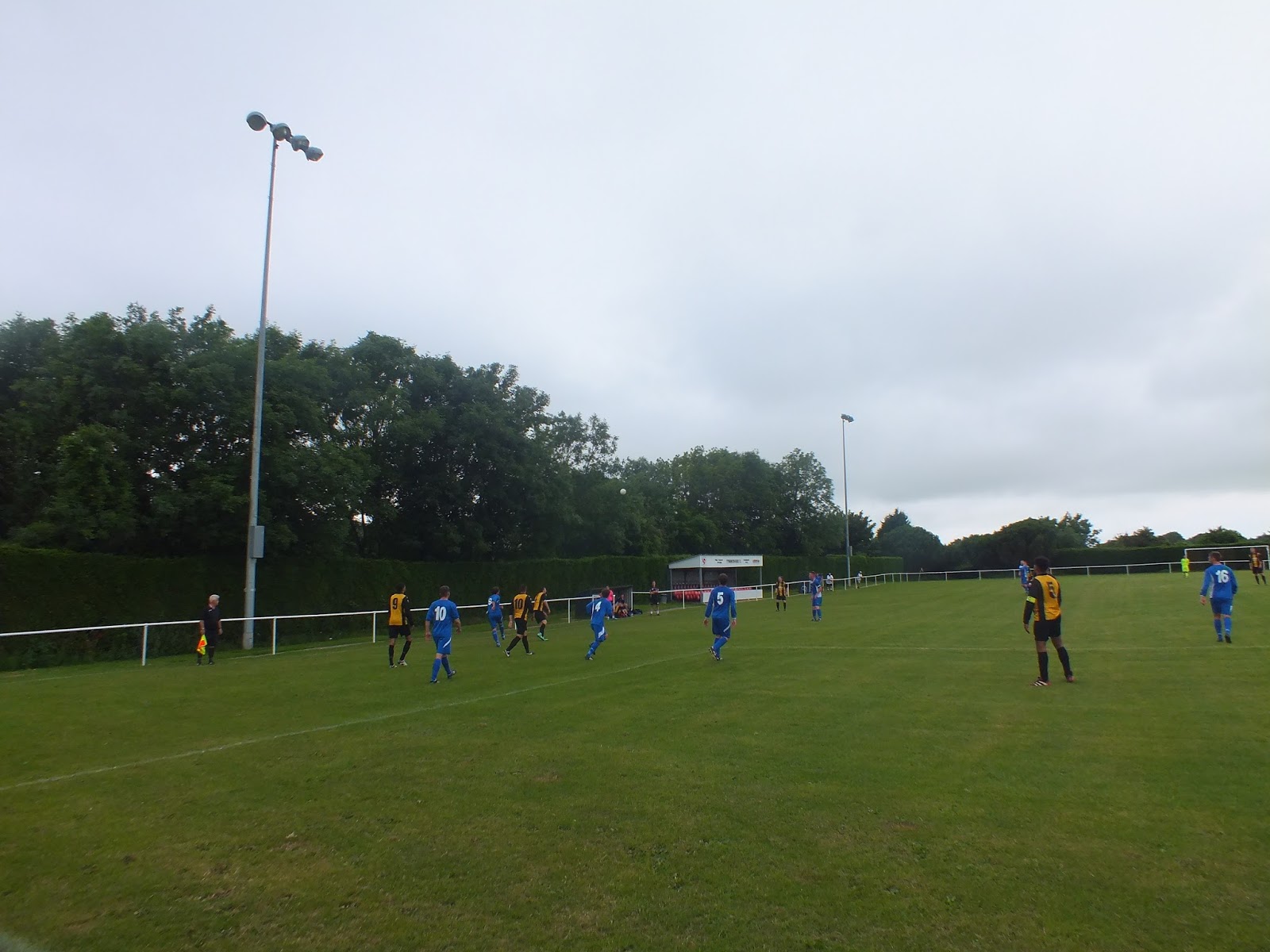 PARTIZAN BRISTLE: #30 Hardwicke Playing Field, Tytherington Rocks