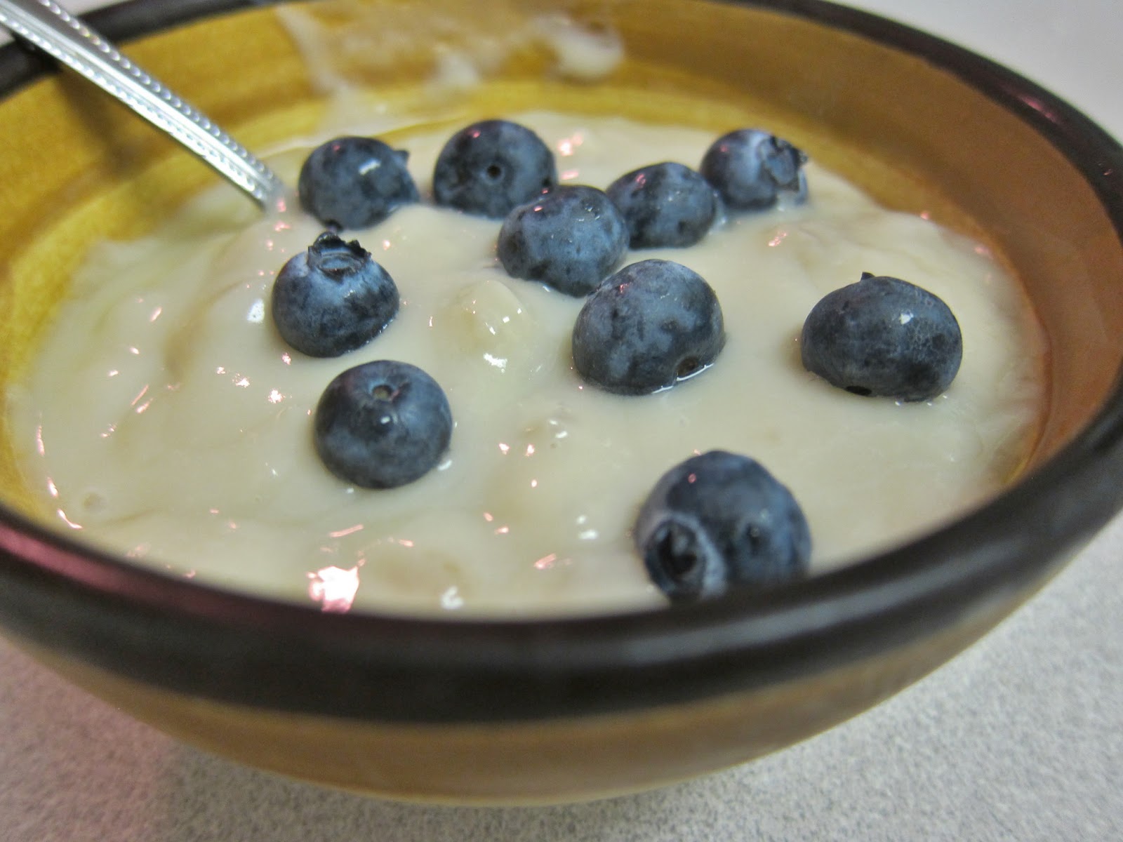 The Vegan Chronicle Ginger Pudding