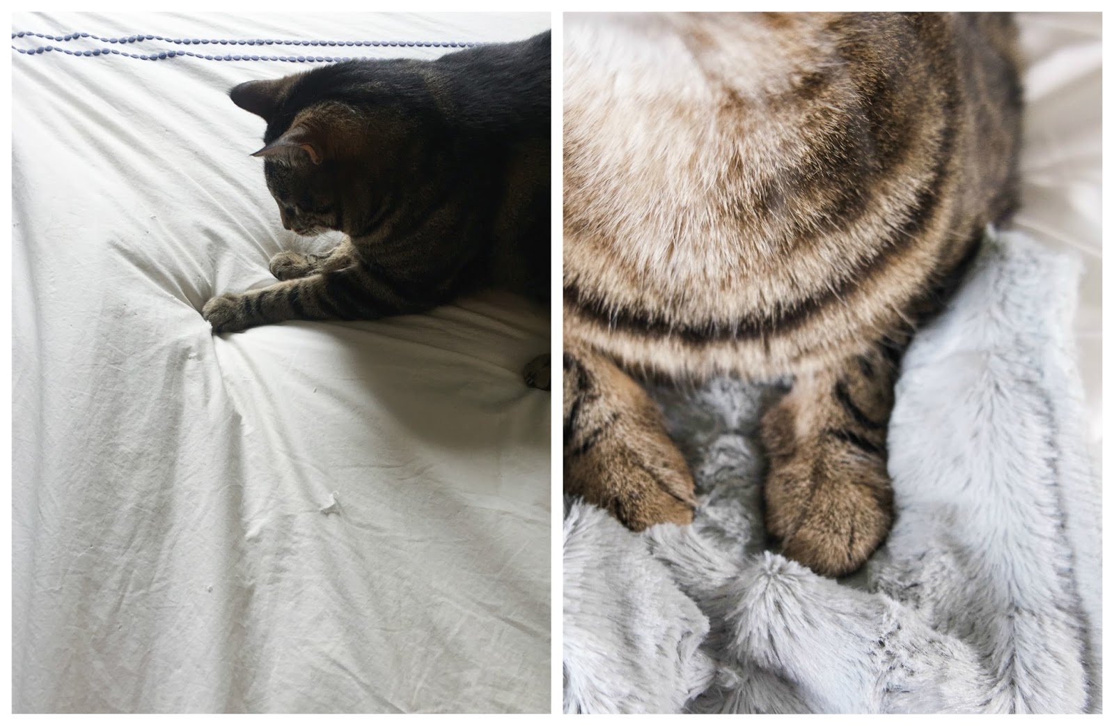 Franish a bedroom refresh (...or how we figured out how to have white