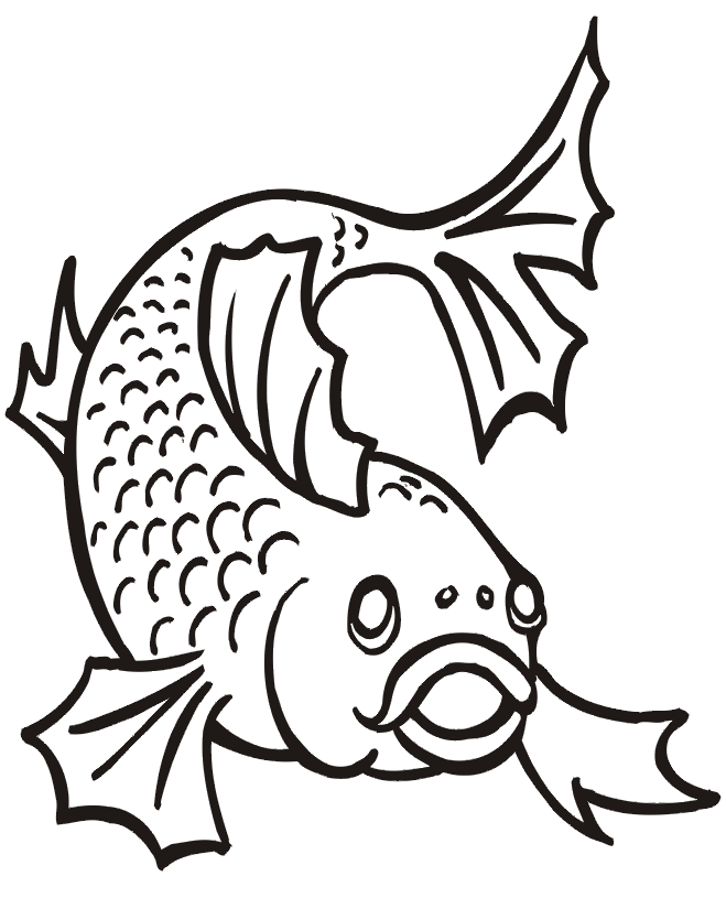Interactive Magazine: catfish coloring pages