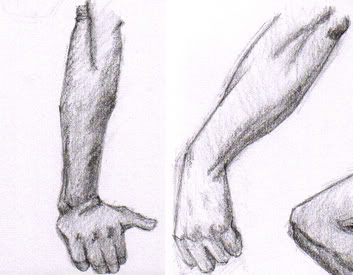Liam Roberts BAGD YR2: Arm Anatomy Reference