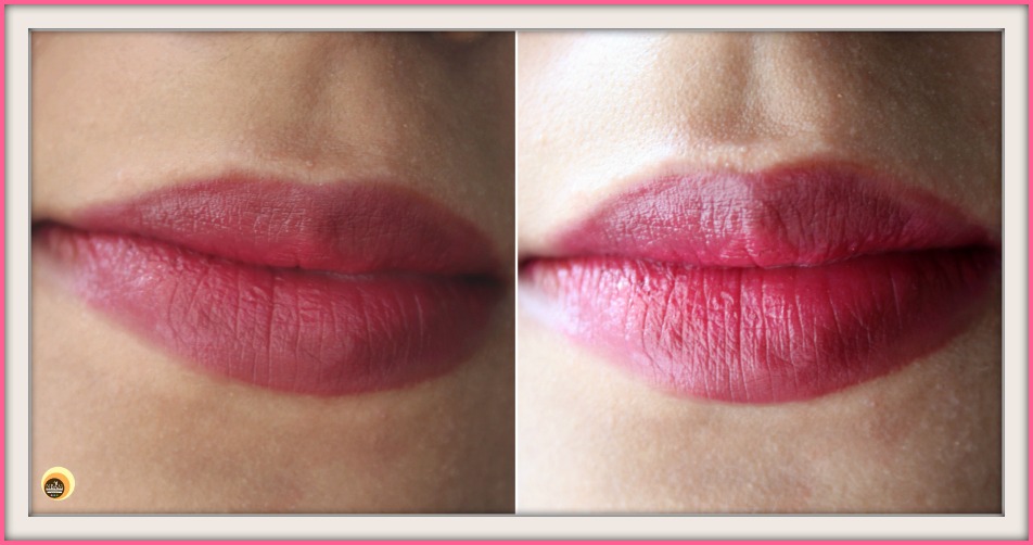 Natural Beauty And Makeup Wet n Wild Color Icon Chestnut/Marron E711