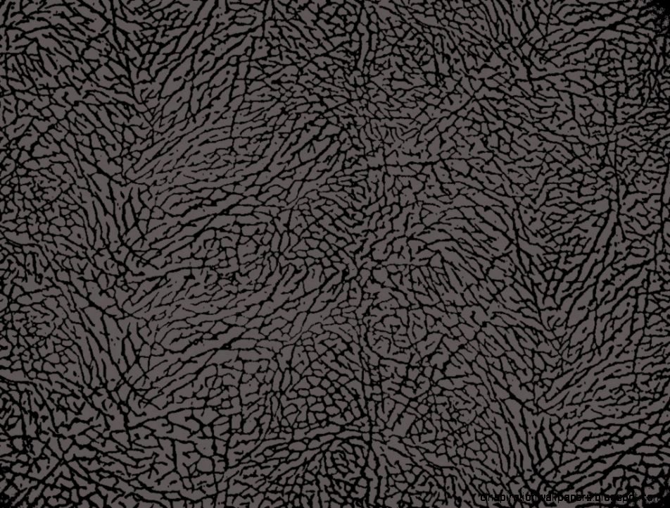 Download jordan elephant wallpaper   Elephant Print Iphone