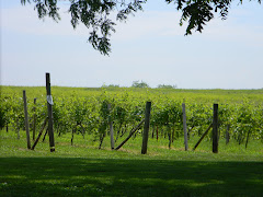 Yes, there are Vineyards in Kansas!
