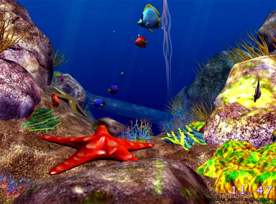 best aquarium screensaver for windows 7 best aquarium screensaver for windows 7