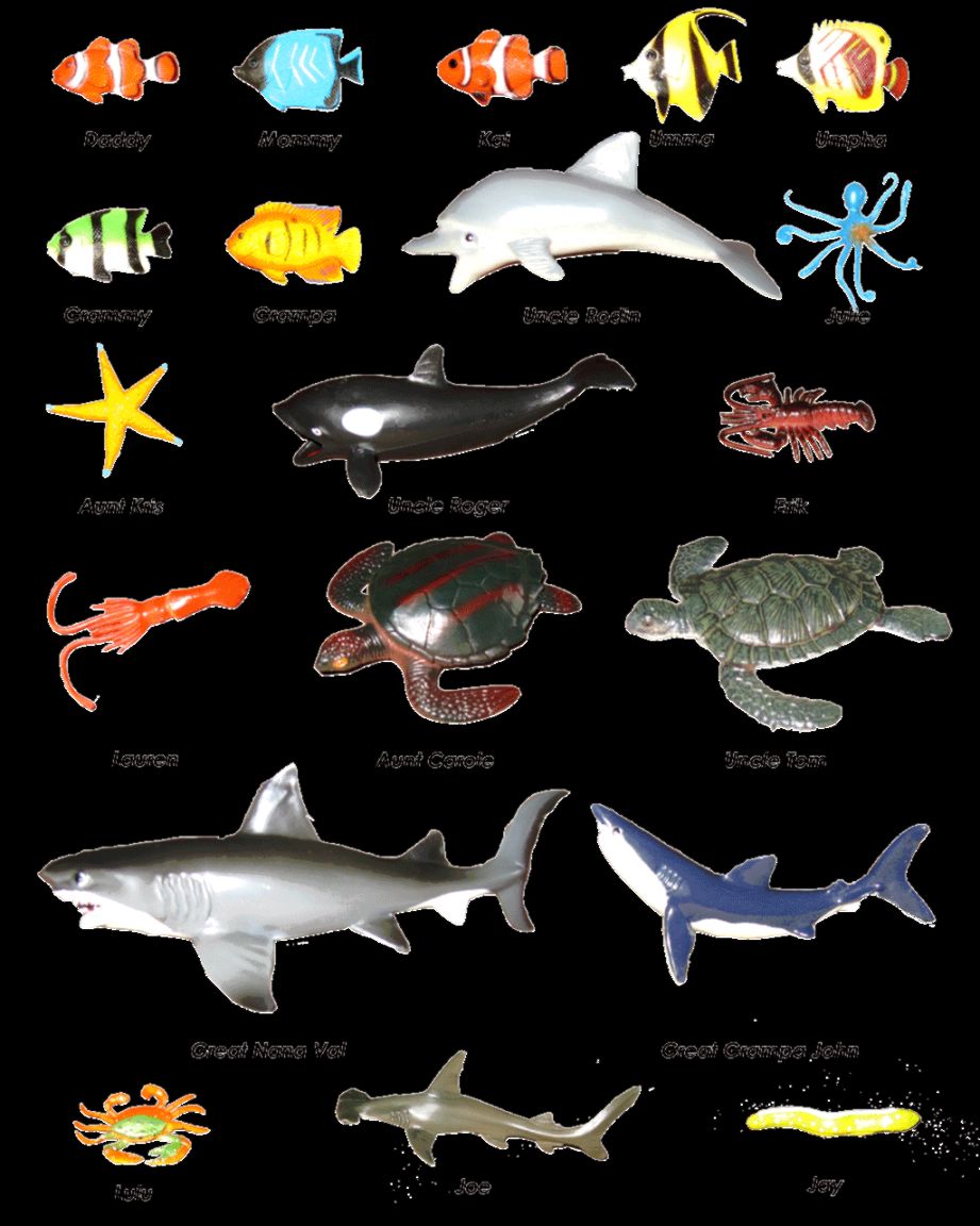 Sea Animals | Amazing Wallpapers