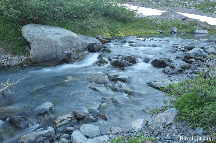 quinault river source