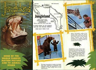 Safari Brochure