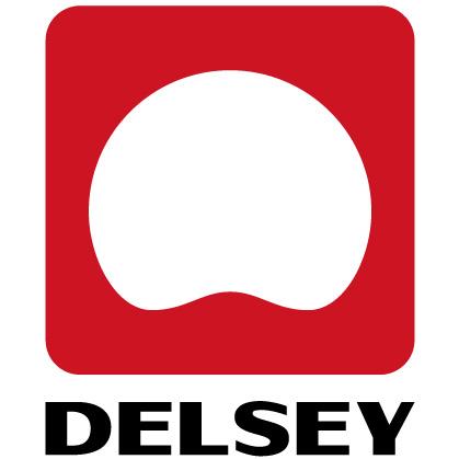 Manila Shopper: Delsey Luggage Clearance SALE: Jan 2013