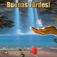 Resultado de imagen para buenas tardes gif
