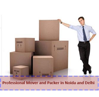 Professional Mover and Packer in Noida and Delhi
