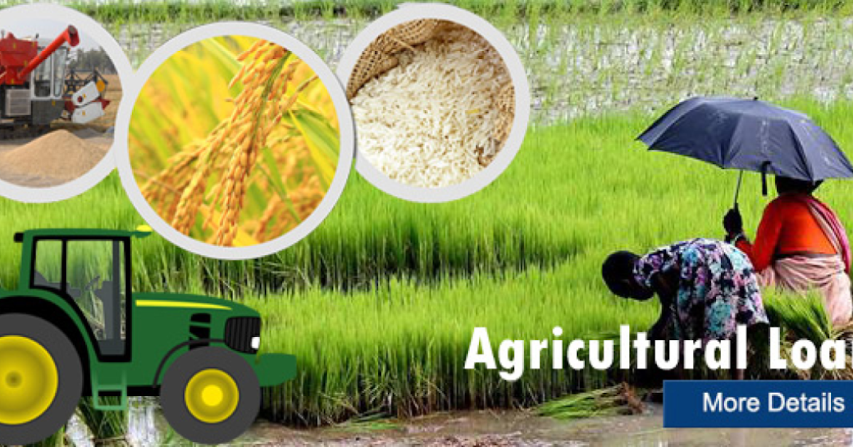 The Statewise agricultural loan outstanding against farmers of the