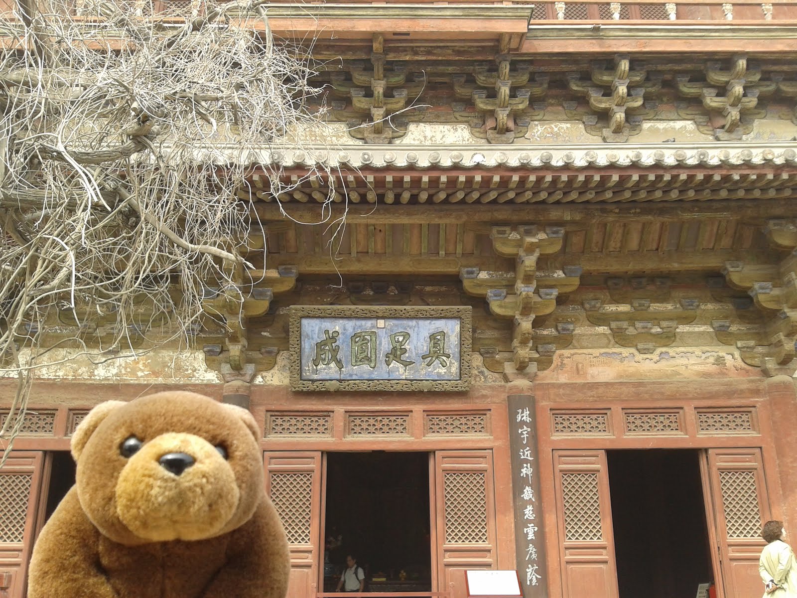 Teddy in front of Dule Temple, China