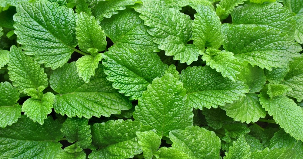 Os temperos que levantam uma potência