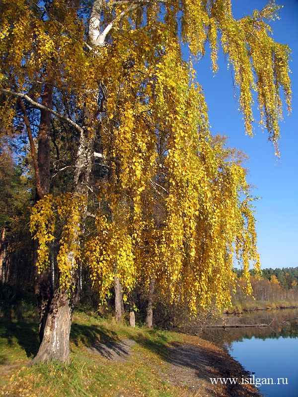 Озеро Синара. Челябинская область