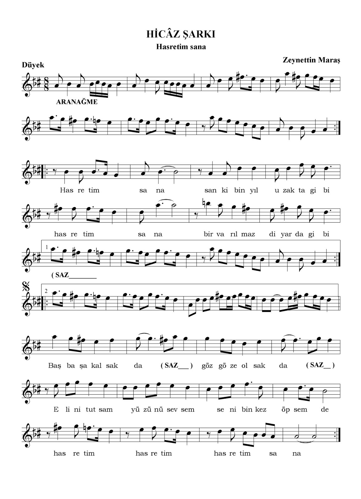 nota arsivi hasretim sana