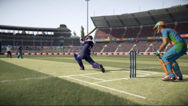 Cricket