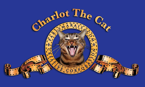 Charlot The Cat / ParisMarais.com by Yukié Matsushita