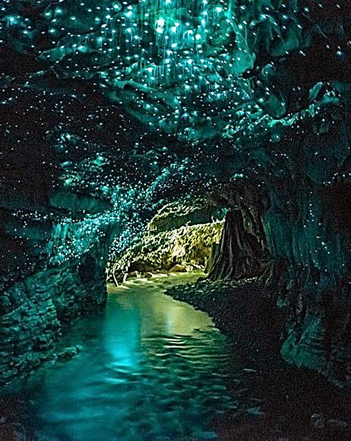 Amazing Caves in the World- Waitomo Glowworms Cave in New Zealand