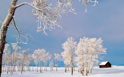 scenery winter wallpapers desktop backgrounds scenes keywords