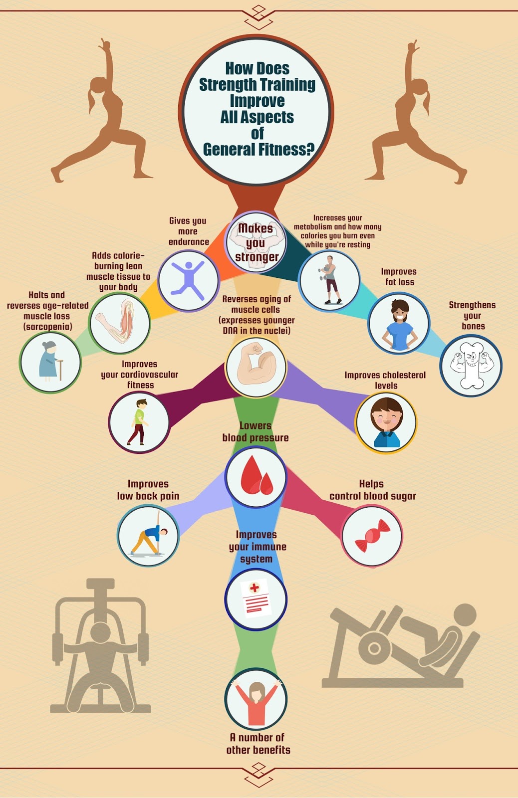 The Perfect Workout Westmont INFOGRAPHIC How Does Strength Training