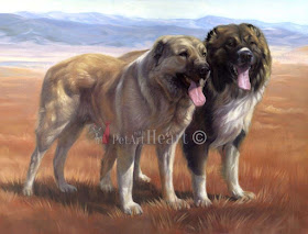 10-Dixie-and-Hachiko-Katja-Turnsek-An-Enjoyable-Road-with-Animal-Oil-Paintings-www-designstack-co