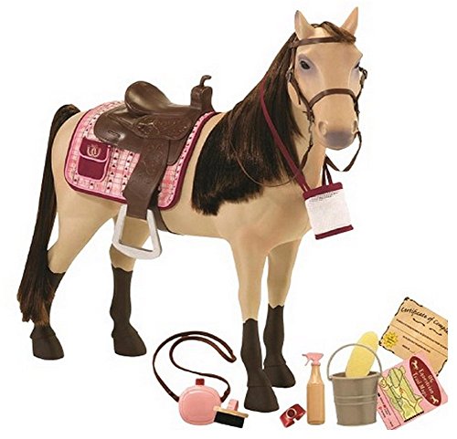 our generation appaloosa horse