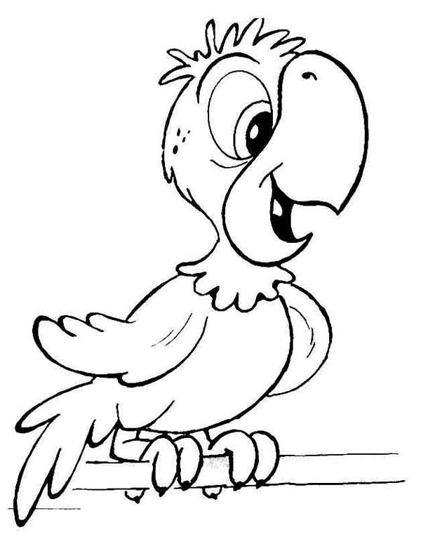 Infanticoisas Piada do papagaio inteligente