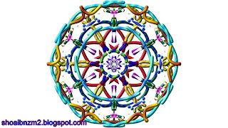 flowers for flower lovers.: April 2013